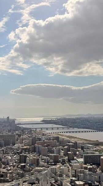 成人网站亚洲频在线视频-成人网站亚洲频在线视频，网络时代的灰色地带与法律边界