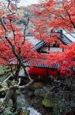 国产视频一区二区三区四区-国产视频的多元化发展，一区、二区、三区、四区的探索与思考