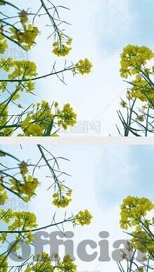 果冻传媒乱码一线二线三线-探索果冻传媒的多元化内容布局，一线、二线、三线之下的创意与挑战