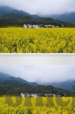 老色鬼精品一区二区-探索网络世界的隐秘角落，老色鬼精品一区二区的虚幻与现实