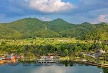 如何下载麻豆短视频-下载麻豆短视频的实用指南