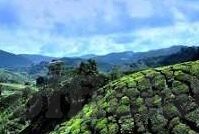 糖心app破解免费版-折射隐私与道德的暗流，糖心APP破解免费版之探