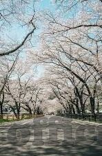 亚洲日韩AV无码电影-亚洲日韩影视文化，多元视角下的艺术探索