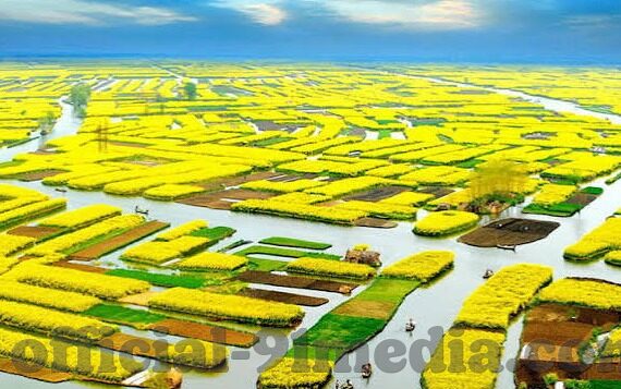 在线免费视频麻豆-善用资源 共享知识 —— 在线免费视频麻豆的魅力